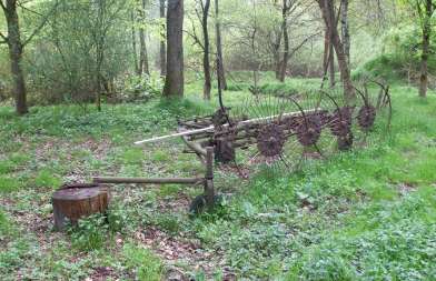 Relikt der Landwirtschaft im Aubachtal: mechanischer Heuwender - Mai 2013