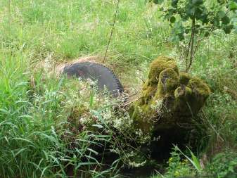 Stillleben am oberen Aubach im Naturschutzgebiet Spessartwiesen - Juli 2014